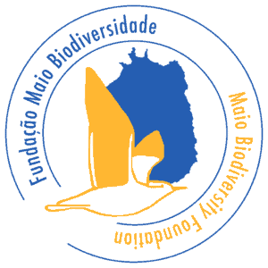 FMB_logo_blue_no background